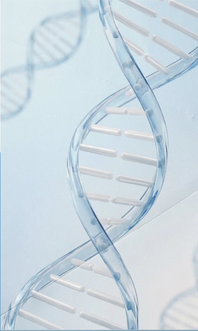 A translucent DNA helix from the Zetamatrix brand guide