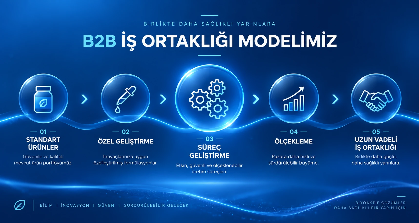 Standart yetkinlik, özel geliştirme, proses geliştirme, ölçekleme ve uzun vadeli iş birliği.